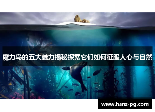魔力鸟的五大魅力揭秘探索它们如何征服人心与自然